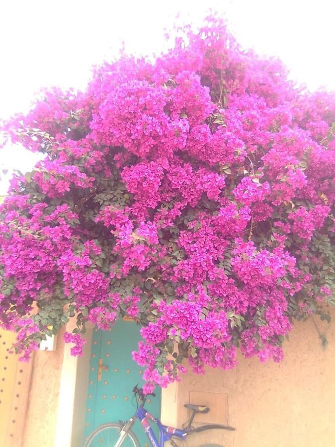 Riad Zidania Taroudant Exterior photo